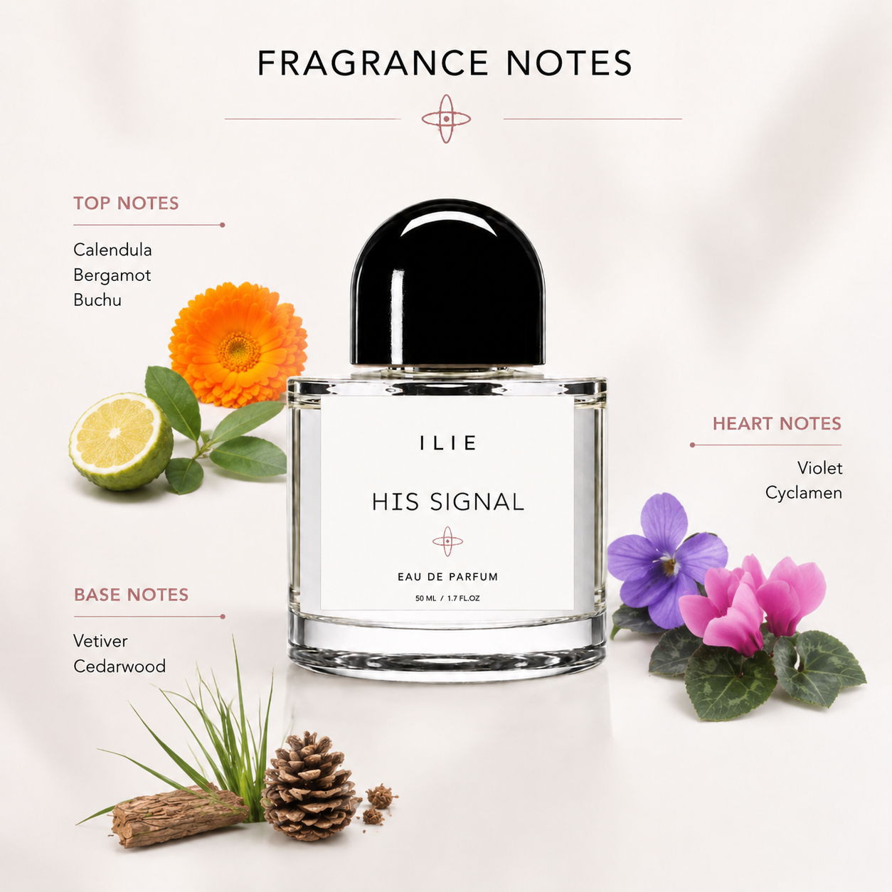 ILIE 02 HIS SIGNAL fragrance notes